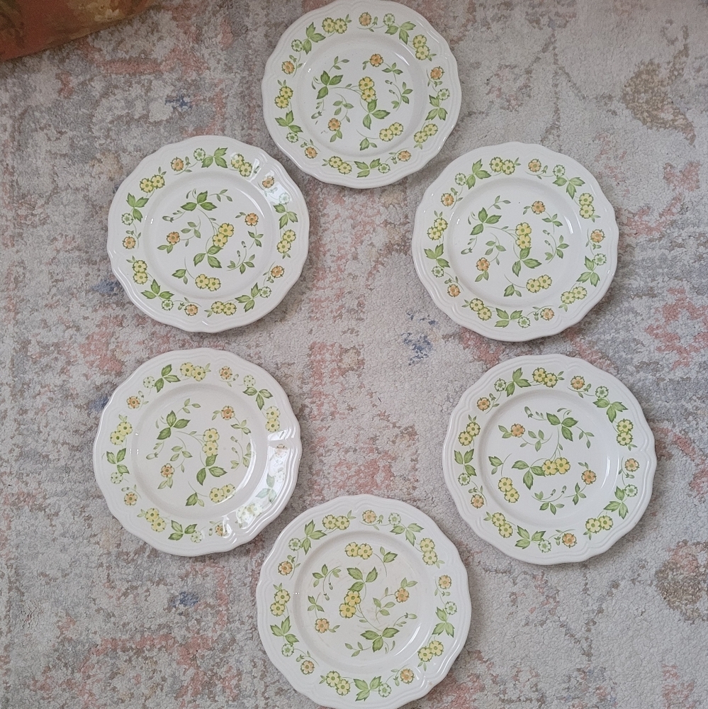 Vintage Petit Flora Ironstone Floral Patterned Salad Plates Set Of 6